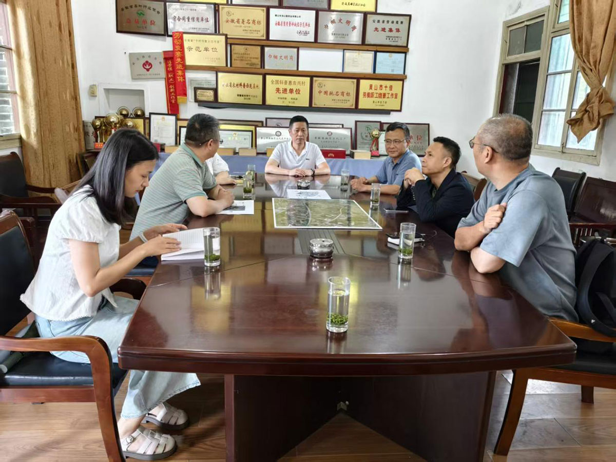 江蘇外聯(lián)采考察團(tuán)到實(shí)驗(yàn)茶場(chǎng)考察，共商茶產(chǎn)業(yè)合作新藍(lán)圖