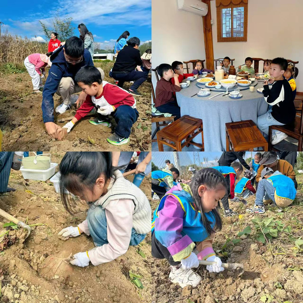 南溪南村：以薯為媒繪新景，活動賦能興鄉(xiāng)村