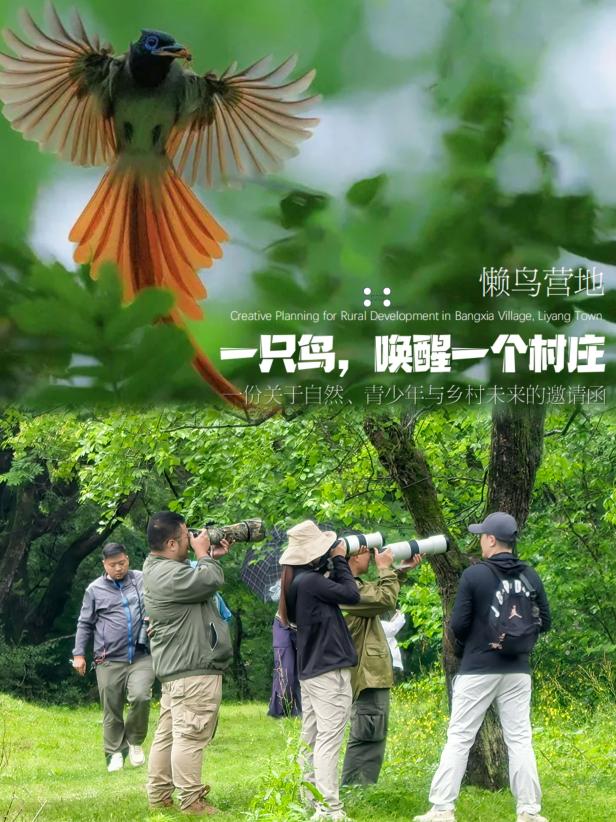 8000萬熱度炸屏！屯溪“護(hù)村小祖宗”聯(lián)動(dòng)短劇頂級(jí)頭部平臺(tái)帶火綬帶鳥，短劇+文旅解鎖鄉(xiāng)村振興新密碼